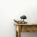 Le Roi Des Oiseaux - A La Campagne * Montcavrel