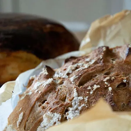 Le Roi Des Oiseaux - A La Campagne * Montcavrel