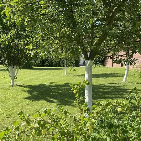 Vakantiehuis Le Roi Des Oiseaux - A La Campagne Montcavrel
