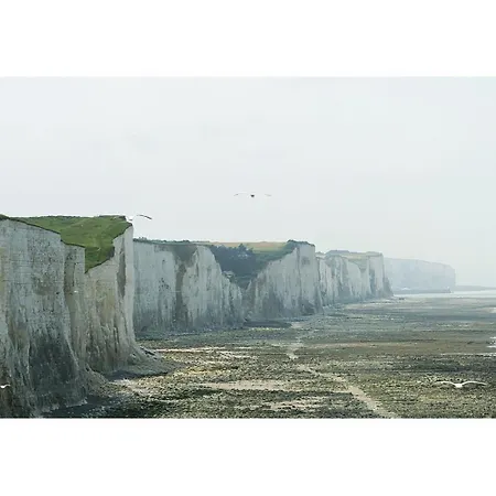 Le Roi Des Oiseaux - A La Campagne Montcavrel