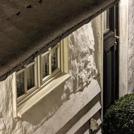 Tatil Evi Le Roi Des Oiseaux - A La Campagne