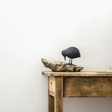 Le Roi Des Oiseaux - A La Campagne * Montcavrel