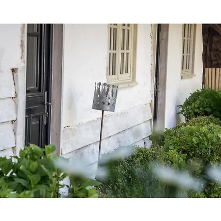 Le Roi Des Oiseaux - A La Campagne *