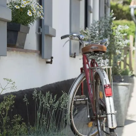 Le Roi Des Oiseaux - A La Campagne