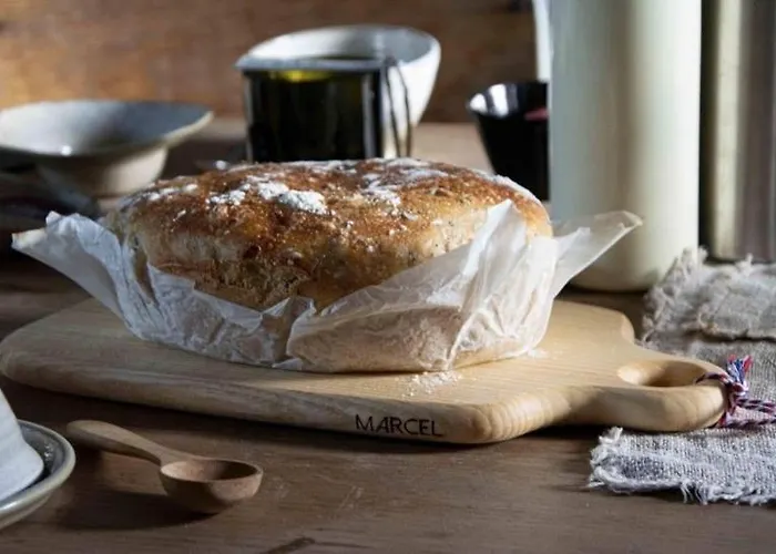 Le Roi Des Oiseaux - *