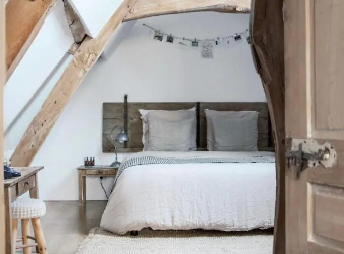 Le Roi Des Oiseaux - *