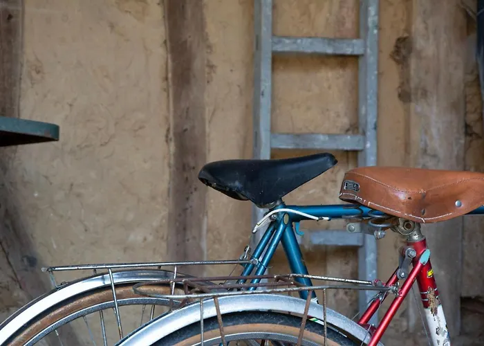 Le Roi Des Oiseaux - Hébergement de vacances