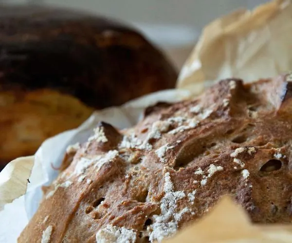 Le Roi Des Oiseaux - * Montcavrel