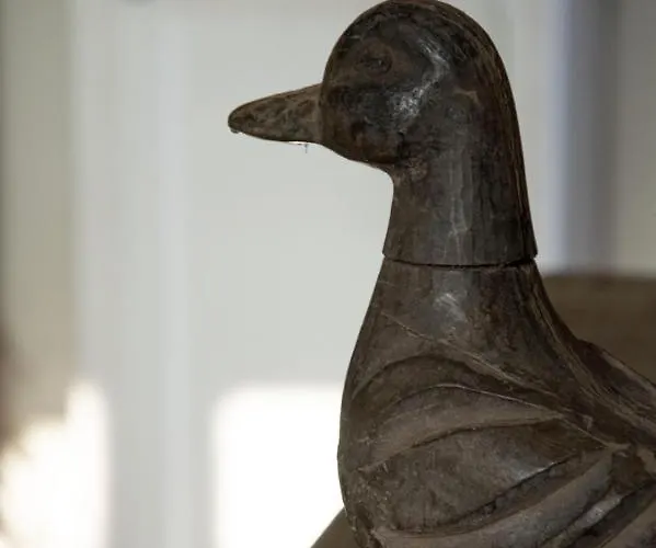 Le Roi Des Oiseaux - Hébergement de vacances