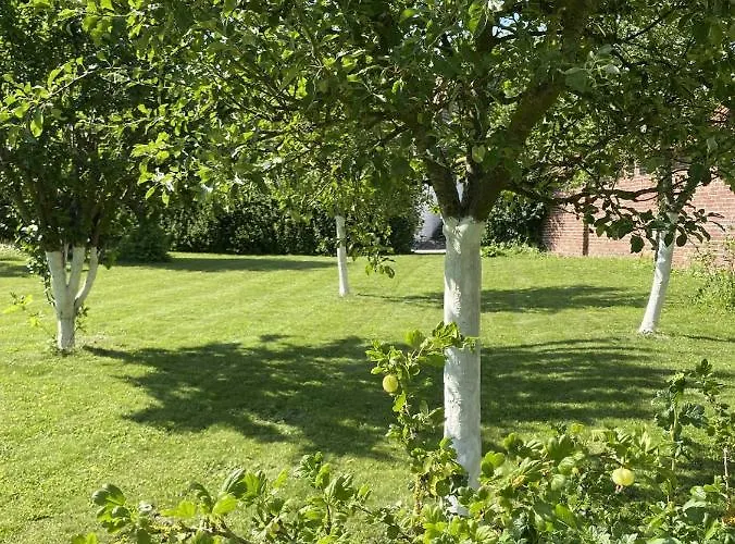 Hébergement de vacances Le Roi Des Oiseaux - Montcavrel