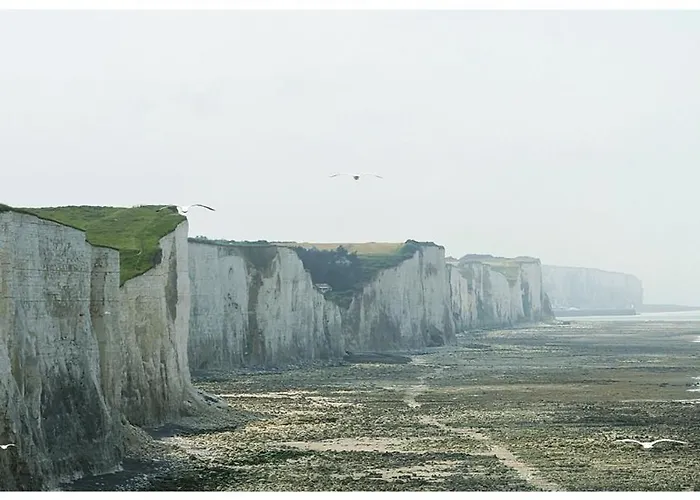 Le Roi Des Oiseaux - Montcavrel