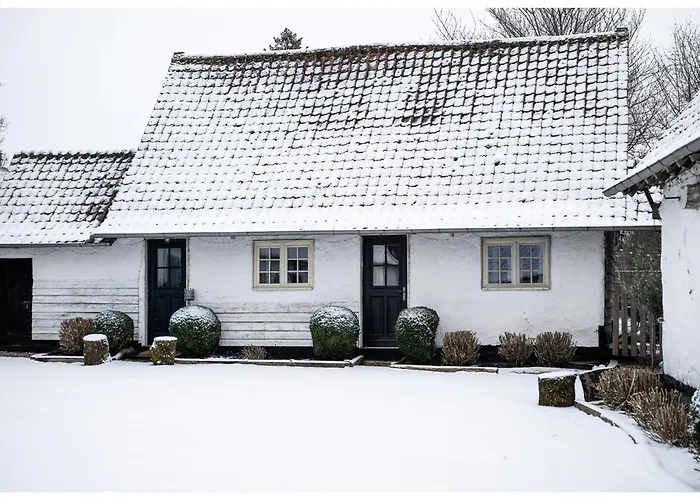 Le Roi Des Oiseaux - *