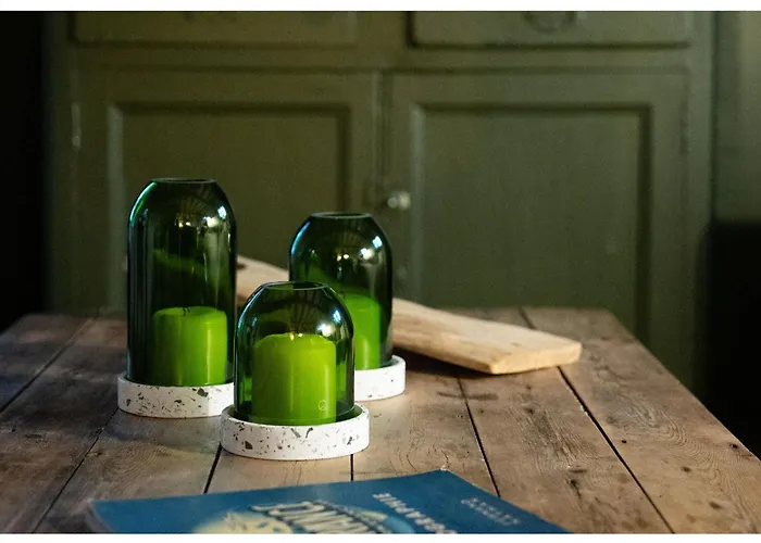 Le Roi Des Oiseaux - Montcavrel