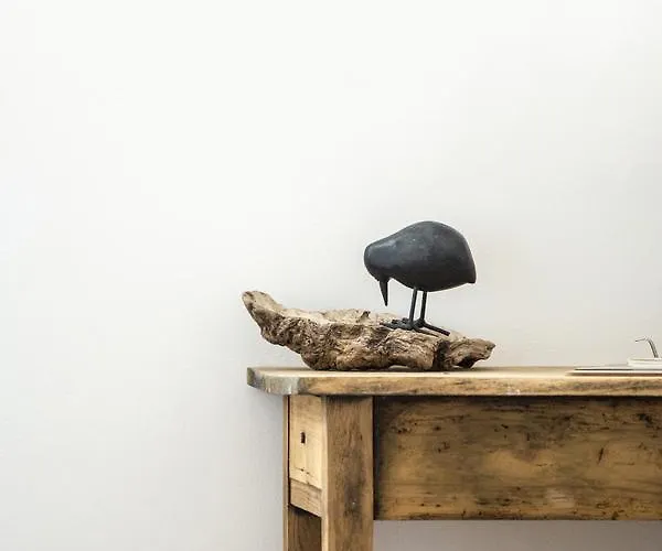 Le Roi Des Oiseaux - * Montcavrel