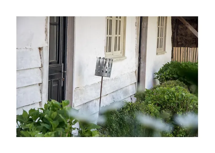 Le Roi Des Oiseaux - *