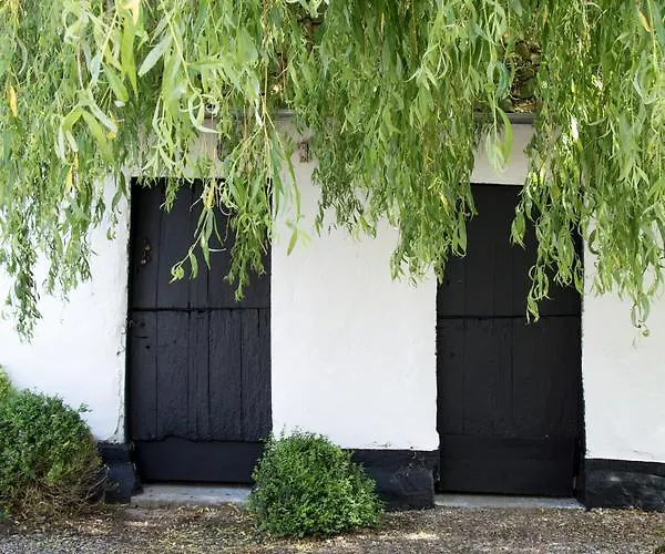 Le Roi Des Oiseaux - Hébergement de vacances