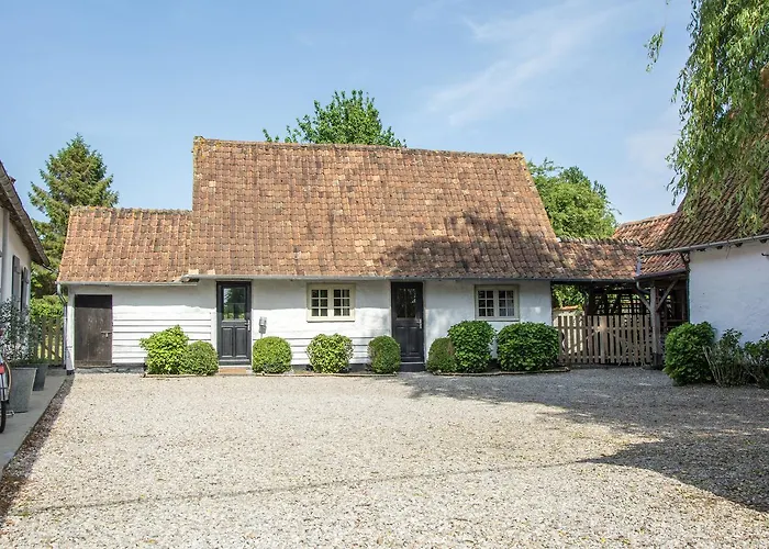 Le Roi Des Oiseaux - * Montcavrel