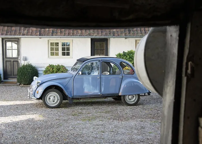 Hébergement de vacances Le Roi Des Oiseaux -